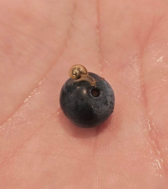 Wait Till You See These 60 Animal Pics That'll Totally Make Your Day