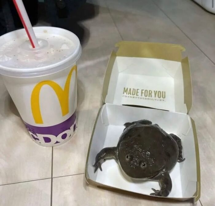 Wait Till You See These 60 Animal Pics That'll Totally Make Your Day