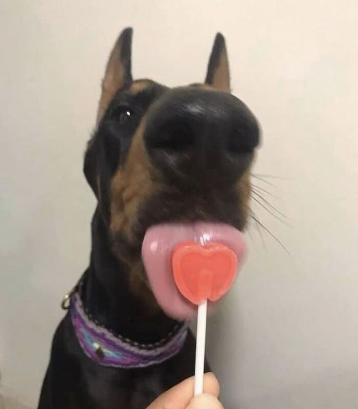 Wait Till You See These 60 Animal Pics That'll Totally Make Your Day