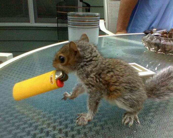 Wait Till You See These 60 Animal Pics That'll Totally Make Your Day