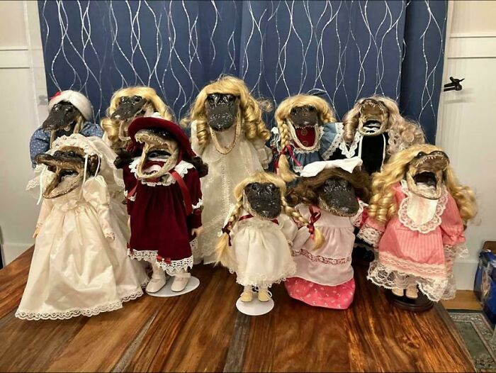 Gator Dolls Found On Facebook – Because Of Course