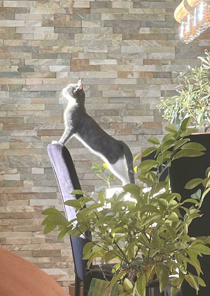 Check Out My Gorgeous Kid!