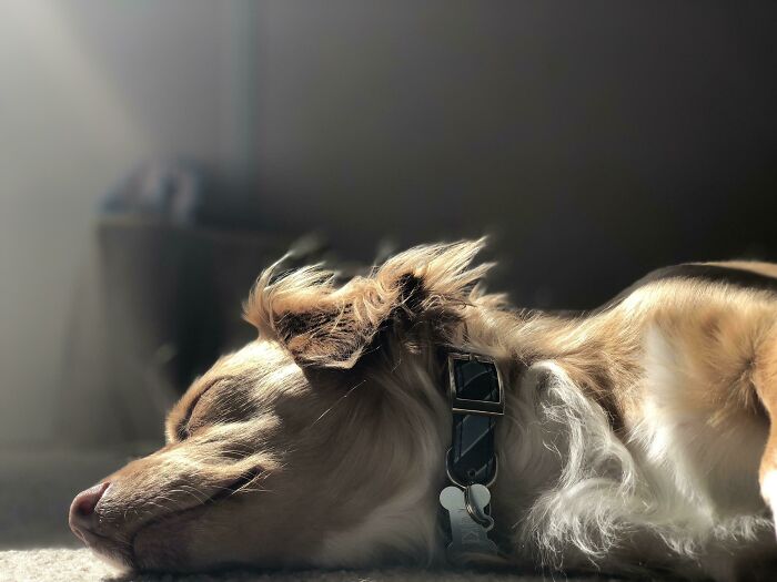 Created For The Sun’s Spotlight