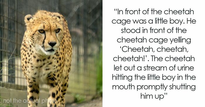 Get This: 65 Karma Stories That Are Too Good To Miss