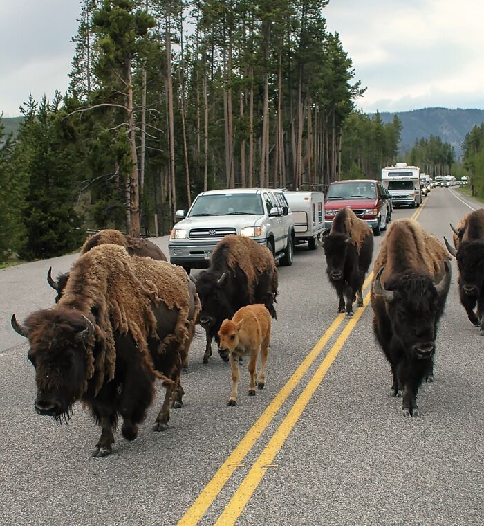 Get This: 65 Karma Stories That Are Too Good To Miss