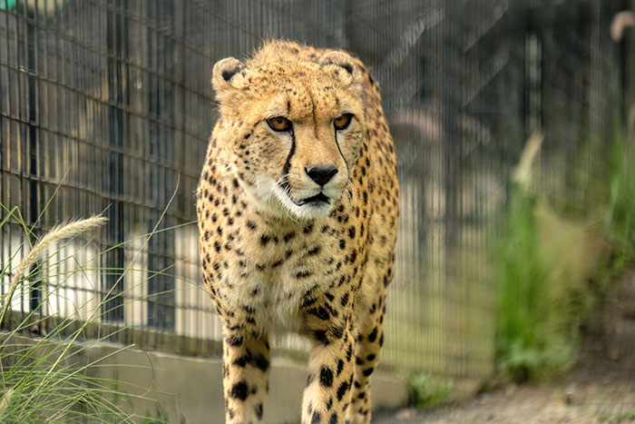 Get This: 65 Karma Stories That Are Too Good To Miss