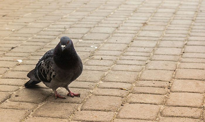 Get This: 65 Karma Stories That Are Too Good To Miss