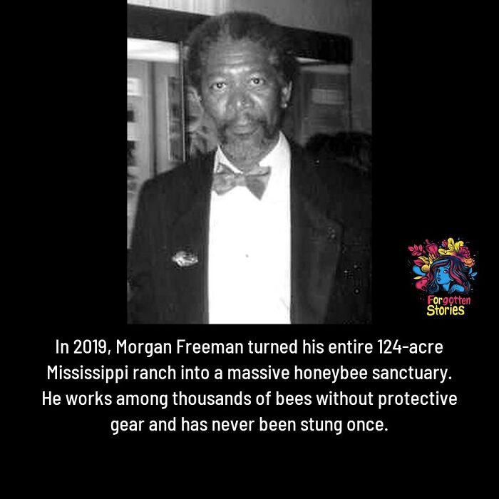 Wait, These Forgotten Stories Are Actually Way Cooler Than You’d Think!