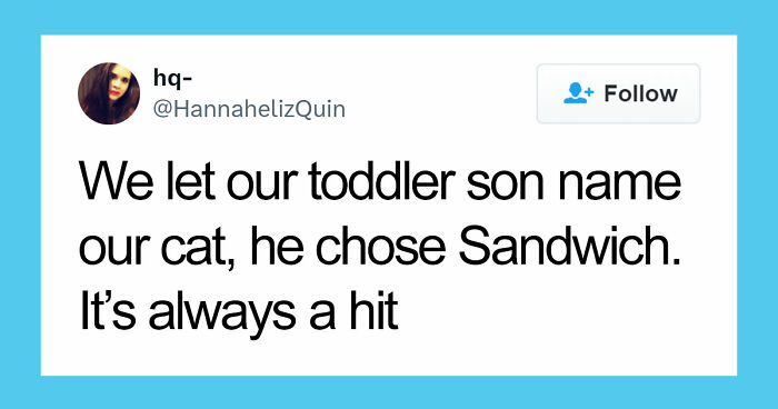 Wait Until You See These Pet Names That Made Vets LOL