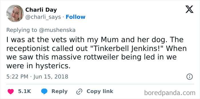 Wait Until You See These Pet Names That Made Vets LOL