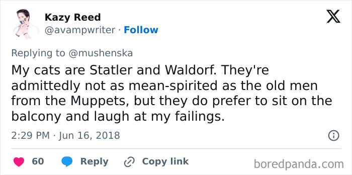 Wait Until You See These Pet Names That Made Vets LOL