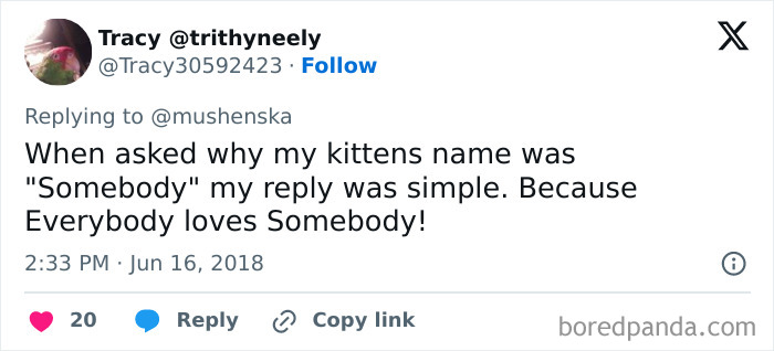 Wait Until You See These Pet Names That Made Vets LOL