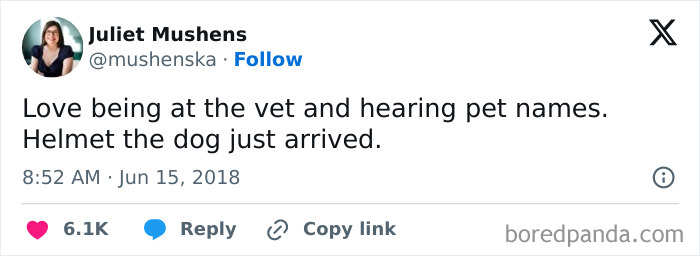 Wait Until You See These Pet Names That Made Vets LOL