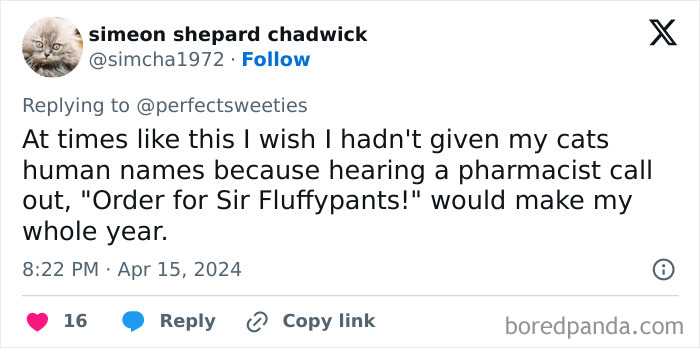 Wait Until You See These Pet Names That Made Vets LOL