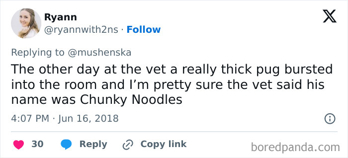 Wait Until You See These Pet Names That Made Vets LOL