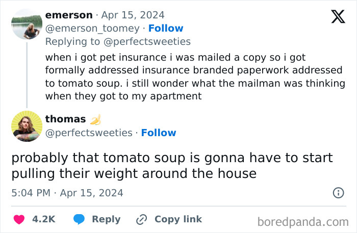 Wait Until You See These Pet Names That Made Vets LOL