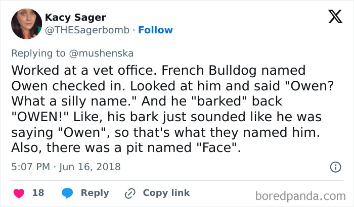 Wait Until You See These Pet Names That Made Vets LOL