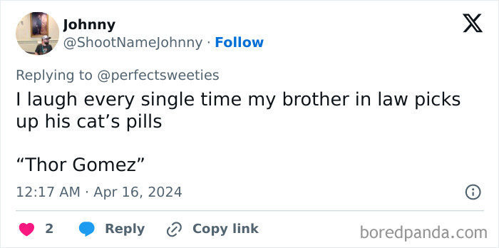 Wait Until You See These Pet Names That Made Vets LOL