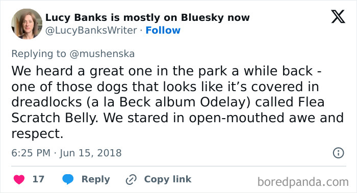 Wait Until You See These Pet Names That Made Vets LOL