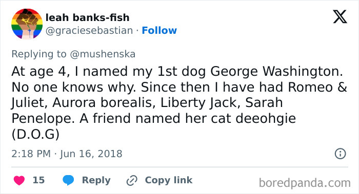 Wait Until You See These Pet Names That Made Vets LOL