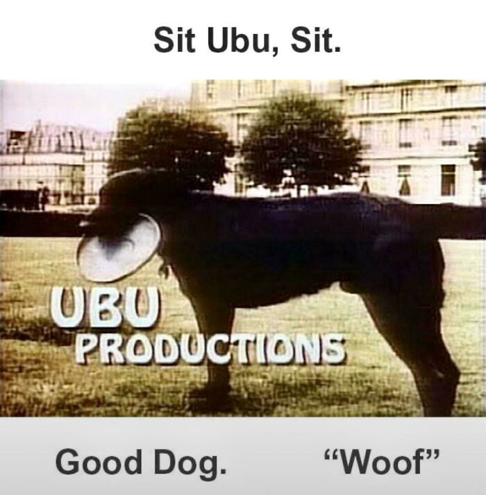 ‘Sit Ubu, Sit.’ Good Dog Essentials