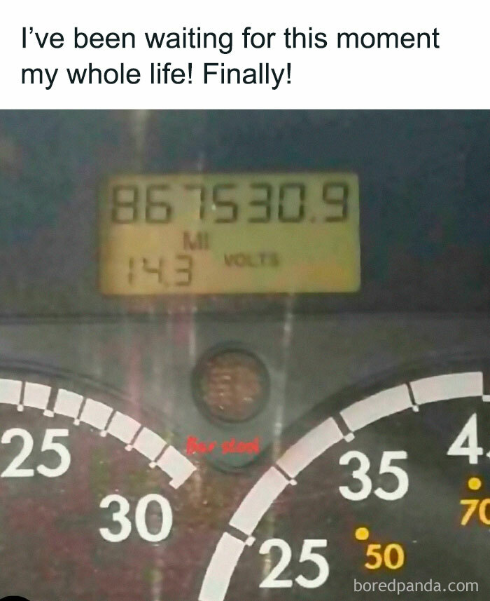 Wait, What Is This Thing?