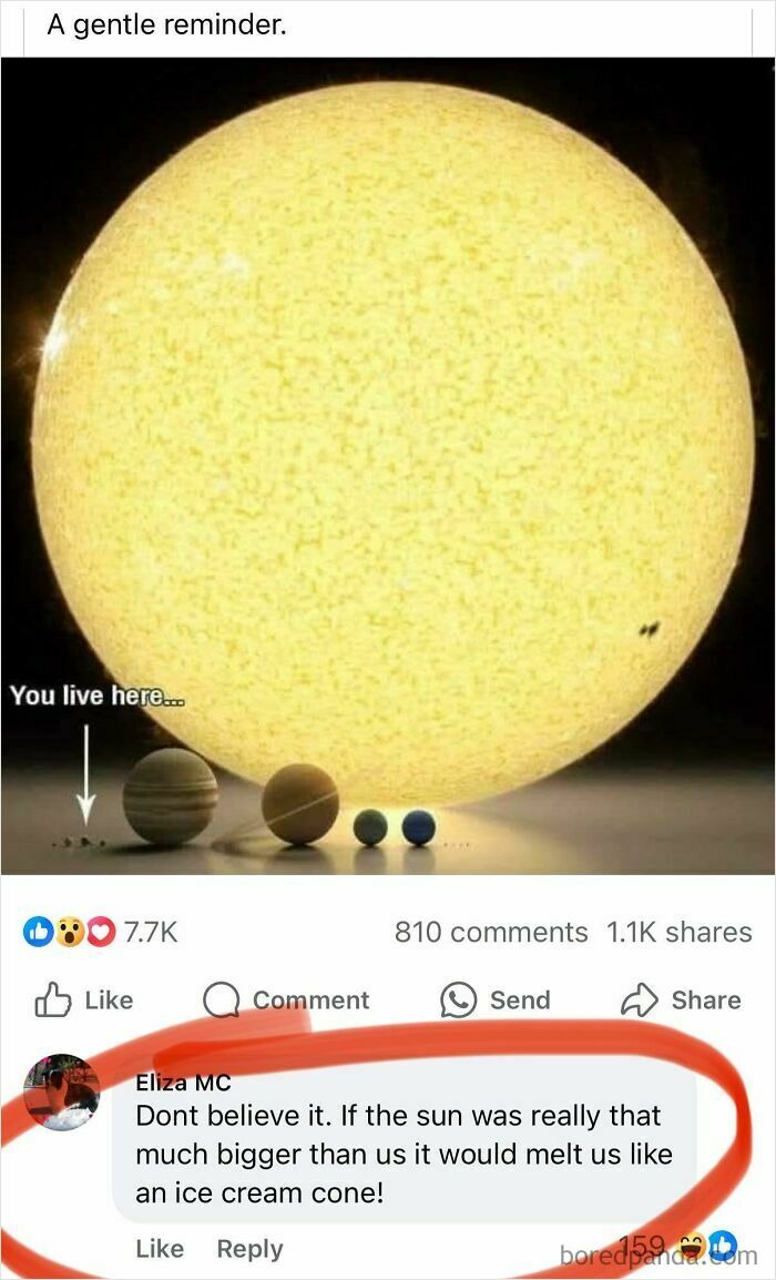 Oops! When ‘Well, Actually’ Goes Hilariously Wrong