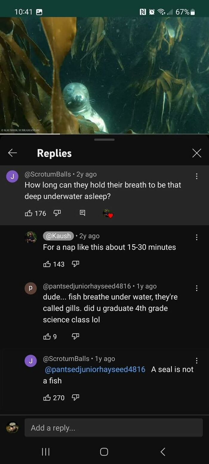 Oops! When ‘Well, Actually’ Goes Hilariously Wrong