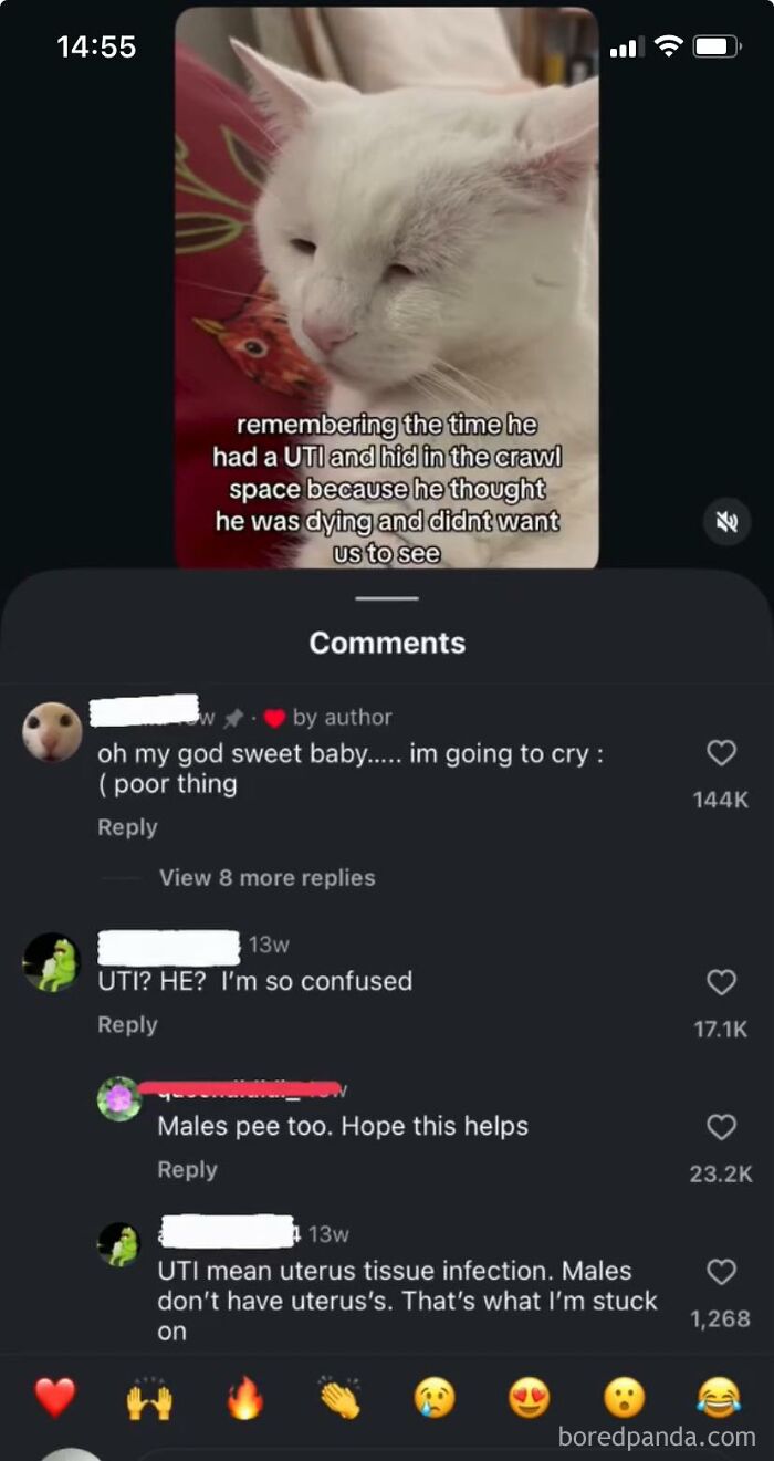 Oops! When ‘Well, Actually’ Goes Hilariously Wrong