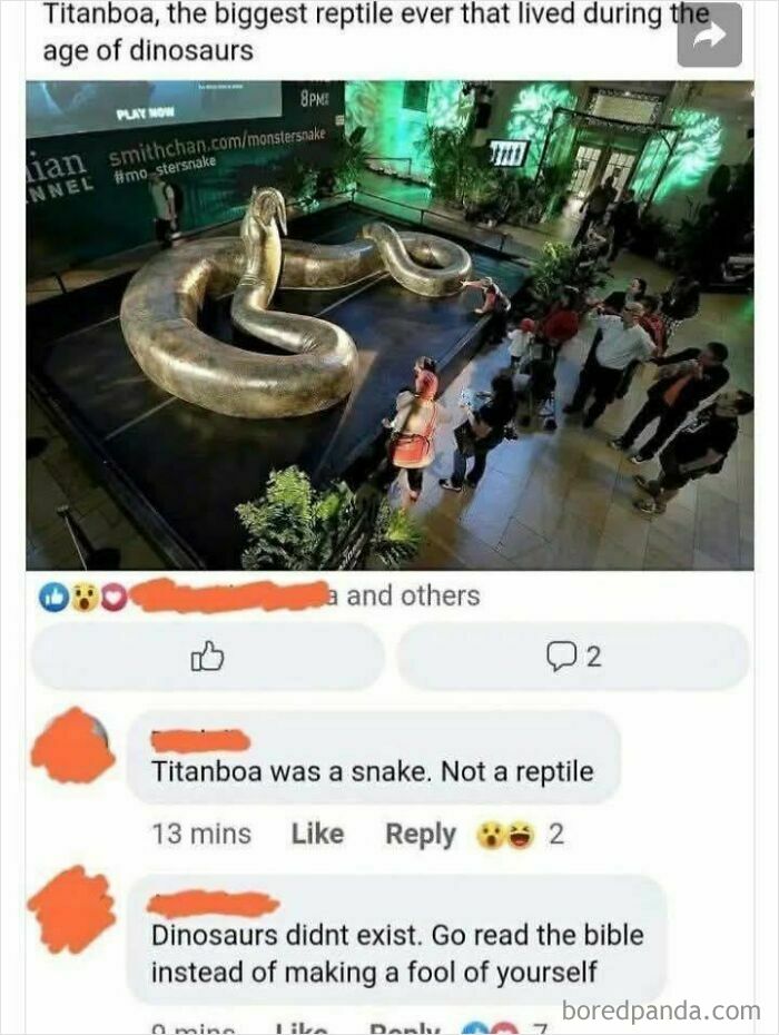 Oops! When ‘Well, Actually’ Goes Hilariously Wrong