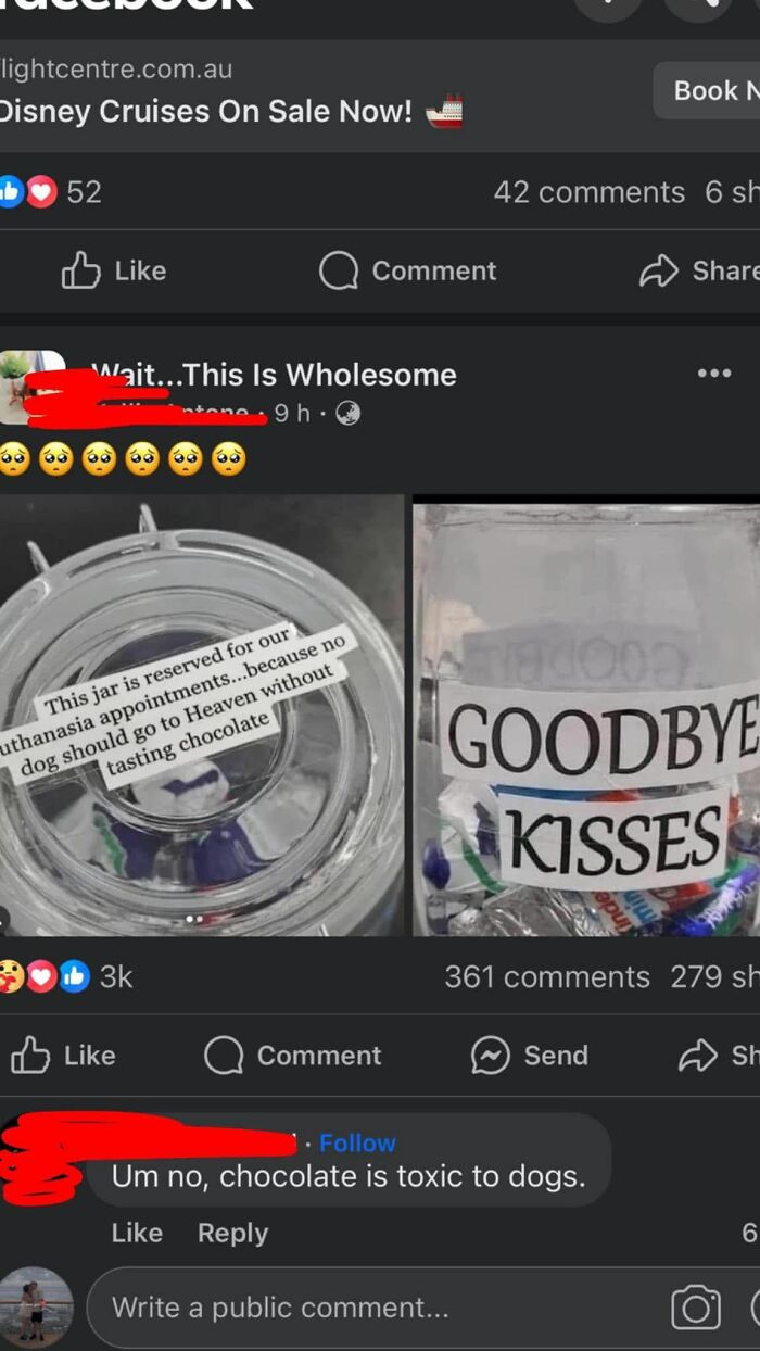 Oops! When ‘Well, Actually’ Goes Hilariously Wrong