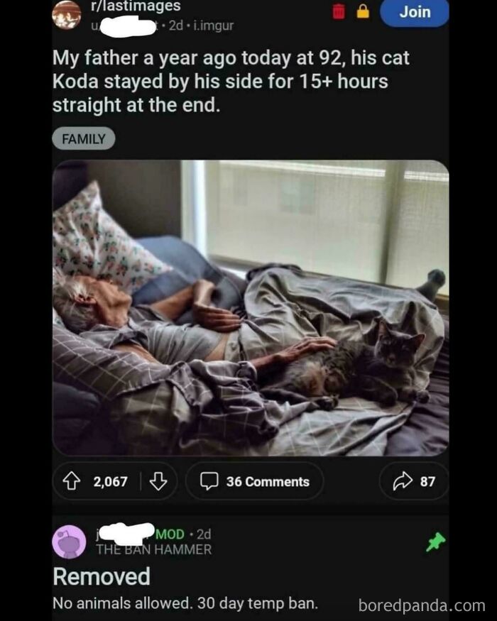 That Reddit Moment You Can't Unsee