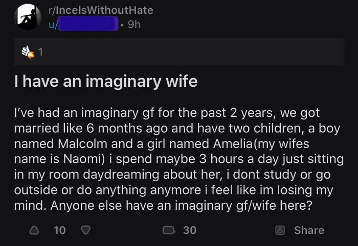 Meet the Imaginary Wife Guy