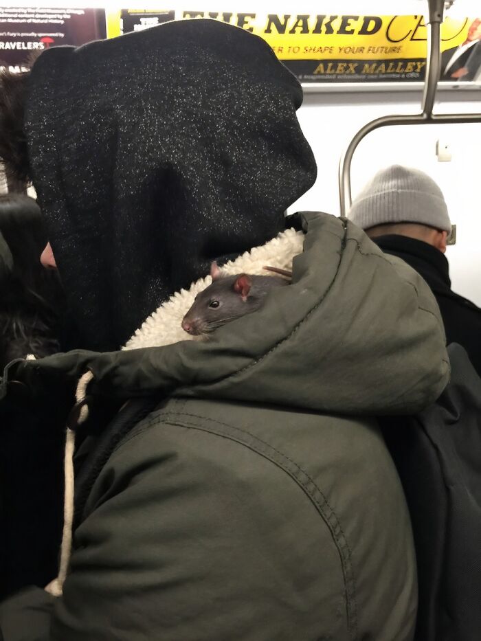 The Stuff You Spot On The Subway Will Blow Your Mind