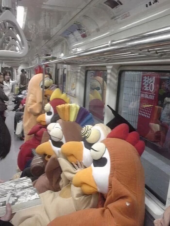 That One Time I Tried The Japanese Subway…