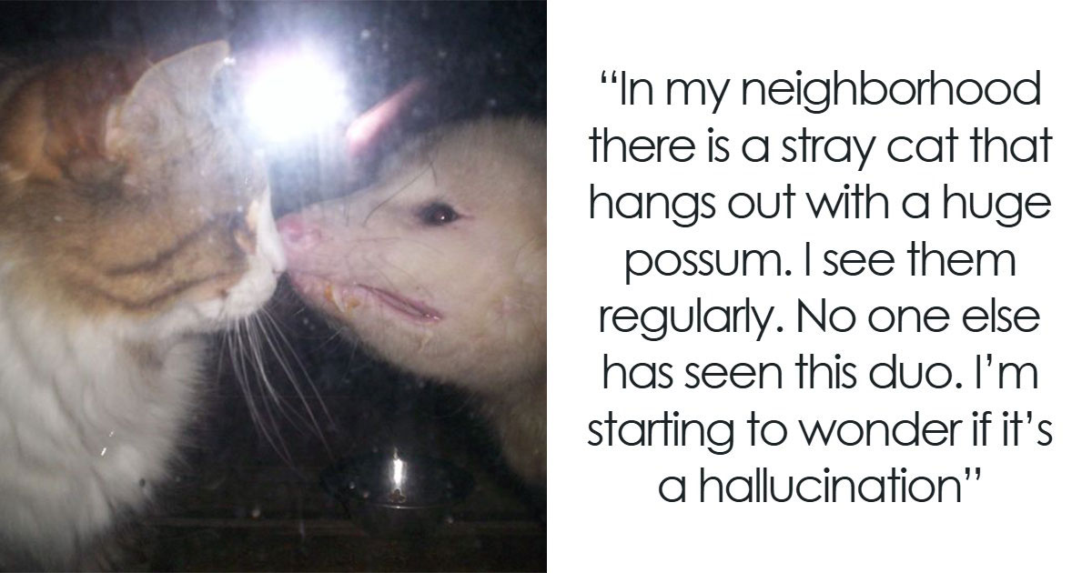 69 Totally Mind-Boggling Things People Saw That Make No Sense