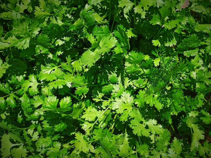 Weird Dealbreakers That Totally Killed the Vibe