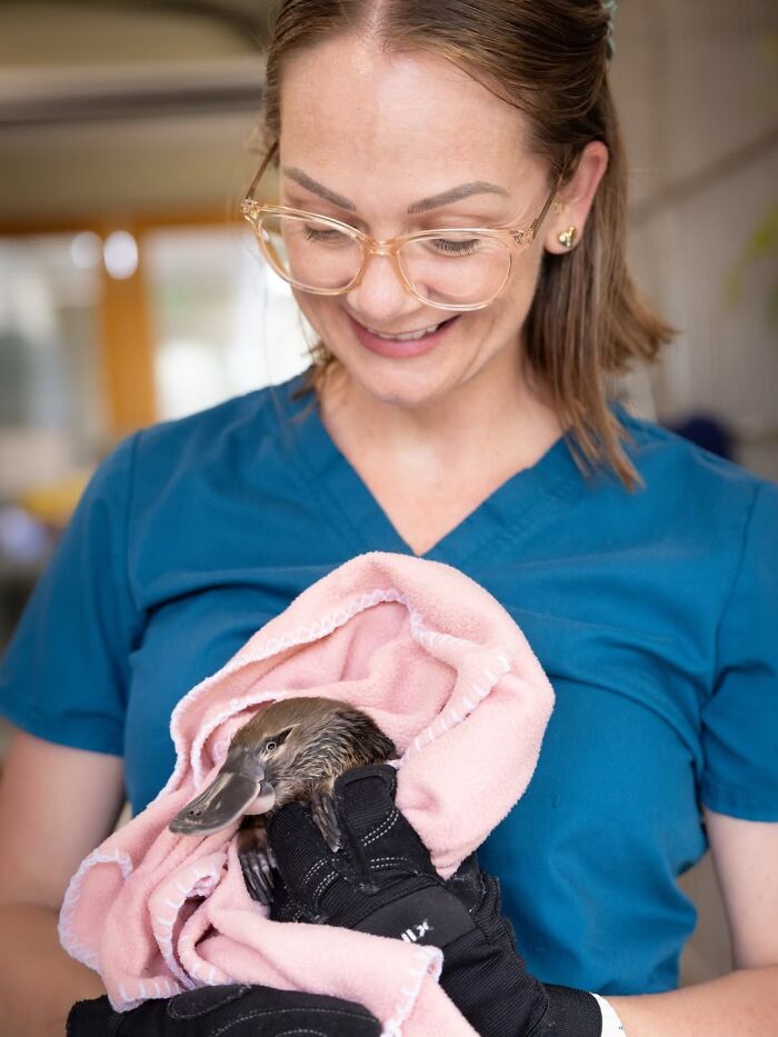 55 Wild Rescue Pics That'll Totally Melt Your Heart