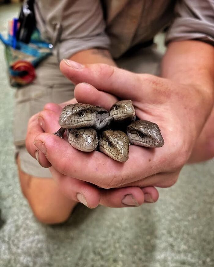 55 Wild Rescue Pics That'll Totally Melt Your Heart