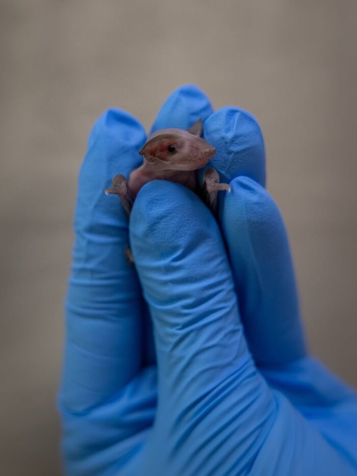 55 Wild Rescue Pics That'll Totally Melt Your Heart