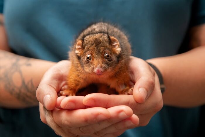 55 Wild Rescue Pics That'll Totally Melt Your Heart