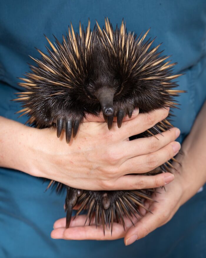 55 Wild Rescue Pics That'll Totally Melt Your Heart