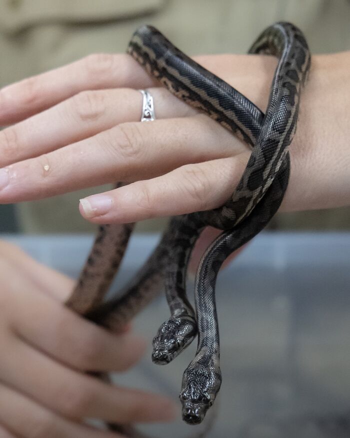 55 Wild Rescue Pics That'll Totally Melt Your Heart