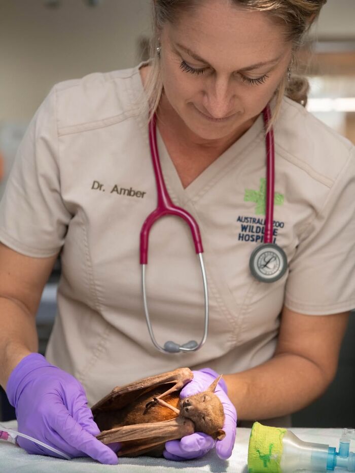 55 Wild Rescue Pics That'll Totally Melt Your Heart