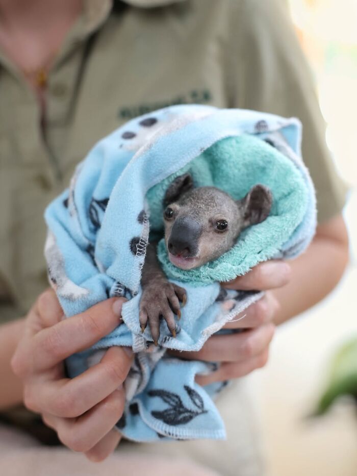 55 Wild Rescue Pics That'll Totally Melt Your Heart