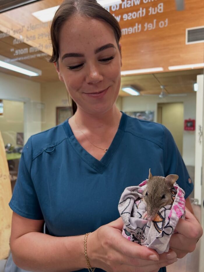 55 Wild Rescue Pics That'll Totally Melt Your Heart