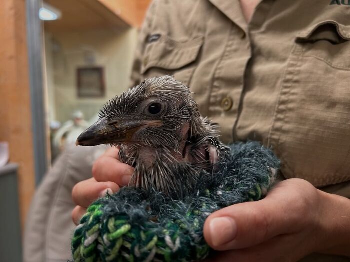 55 Wild Rescue Pics That'll Totally Melt Your Heart