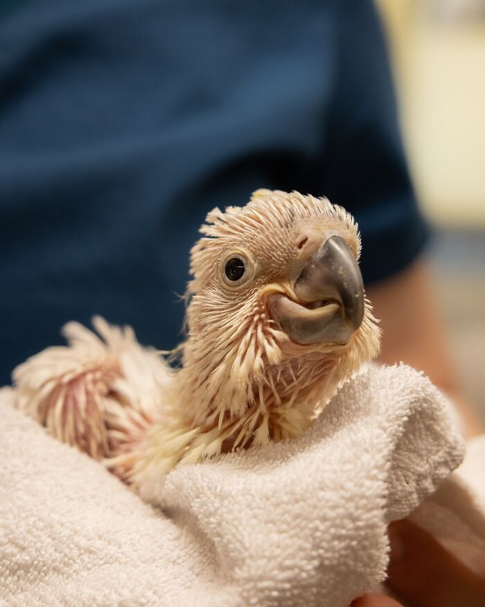 55 Wild Rescue Pics That'll Totally Melt Your Heart