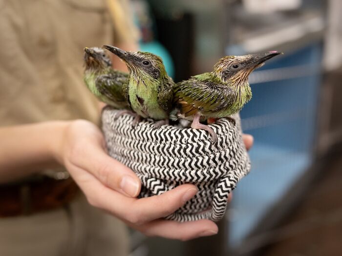 55 Wild Rescue Pics That'll Totally Melt Your Heart