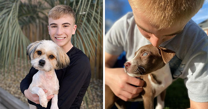 How a 14-Year-Old Boy Turned Helping Shelter Dogs Into a Full-On Hero Mission